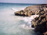 Abacos03_061_Jt.jpg