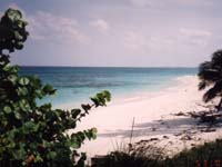 Abacos03_062_Jt.jpg